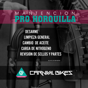 carnivalbikes-chile-mantencion-pro-horquilla-full