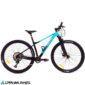 carnivalbikes-B2181-Bicicleta-Radical-Mountain-Predator-P-M6100-29-15-tienda-ciclismo-envio-a-todo-el-pais-mtb-carbono