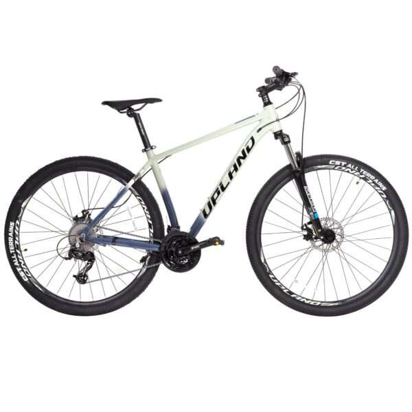 BICICLETA UPLAND X90 29 ARO 29 TALLA 19 24V. ALUMINIO DISC. MECANICO GRIS CarnivalBikes